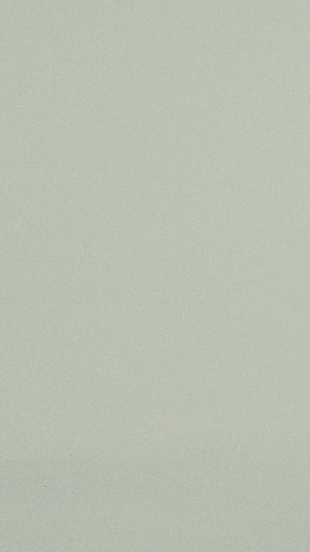 PHANTOM DENIM SHORTS